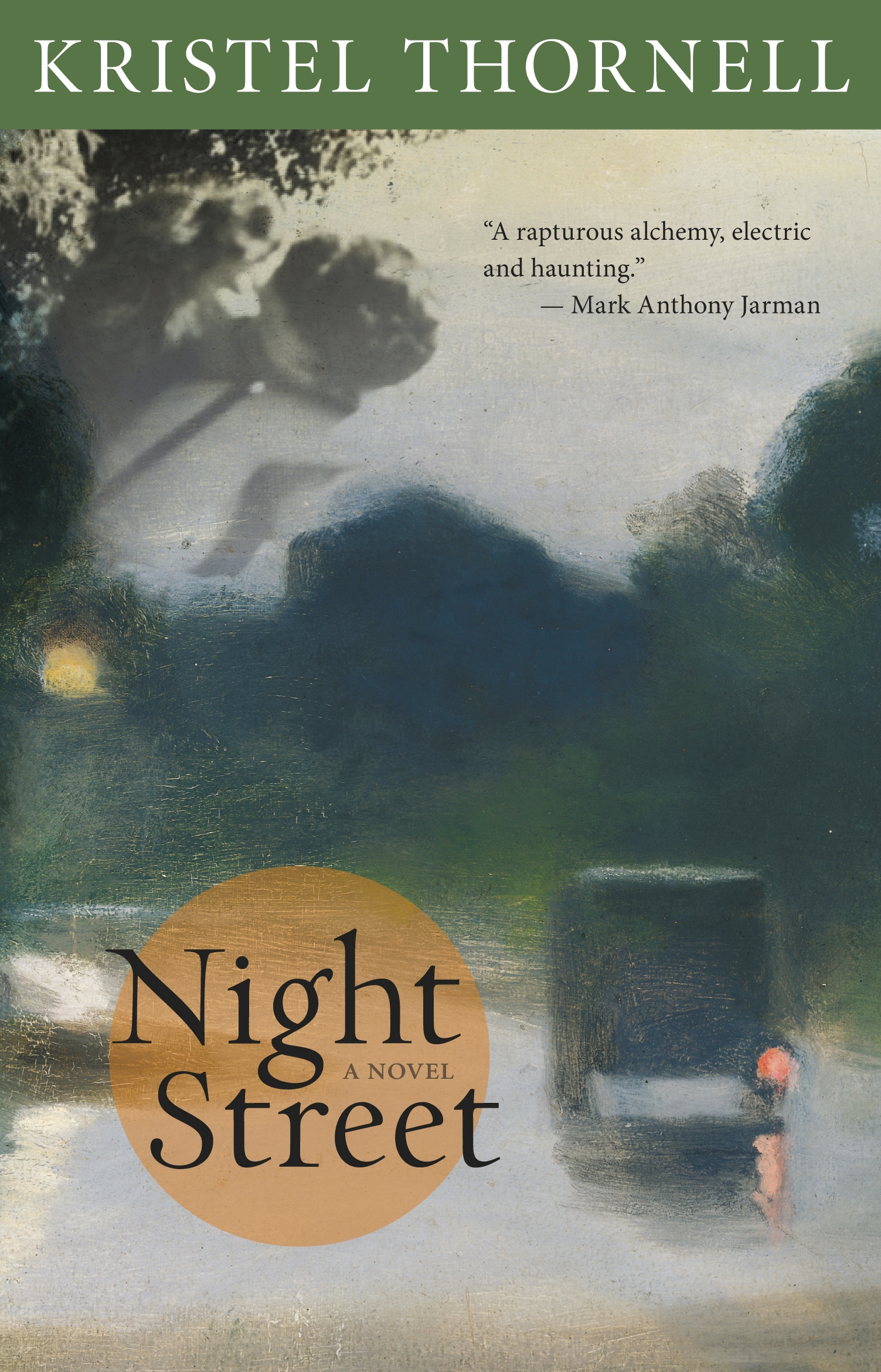 Title details for Night Street by Kristel Thornell - Available
